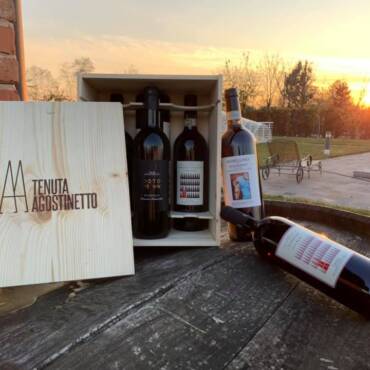 vini_tenuta