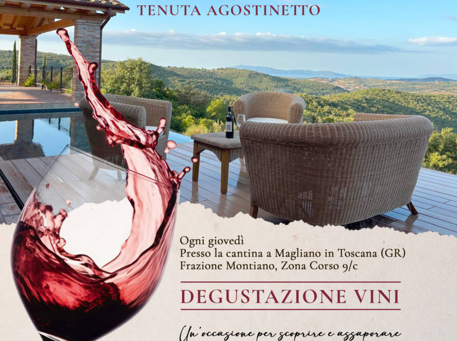 degustazione vini