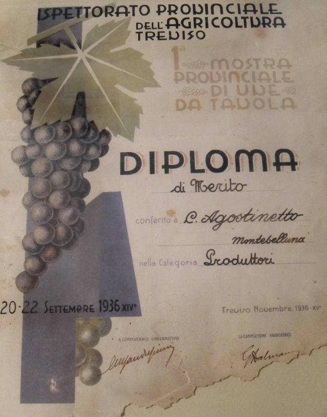 diploma_AA